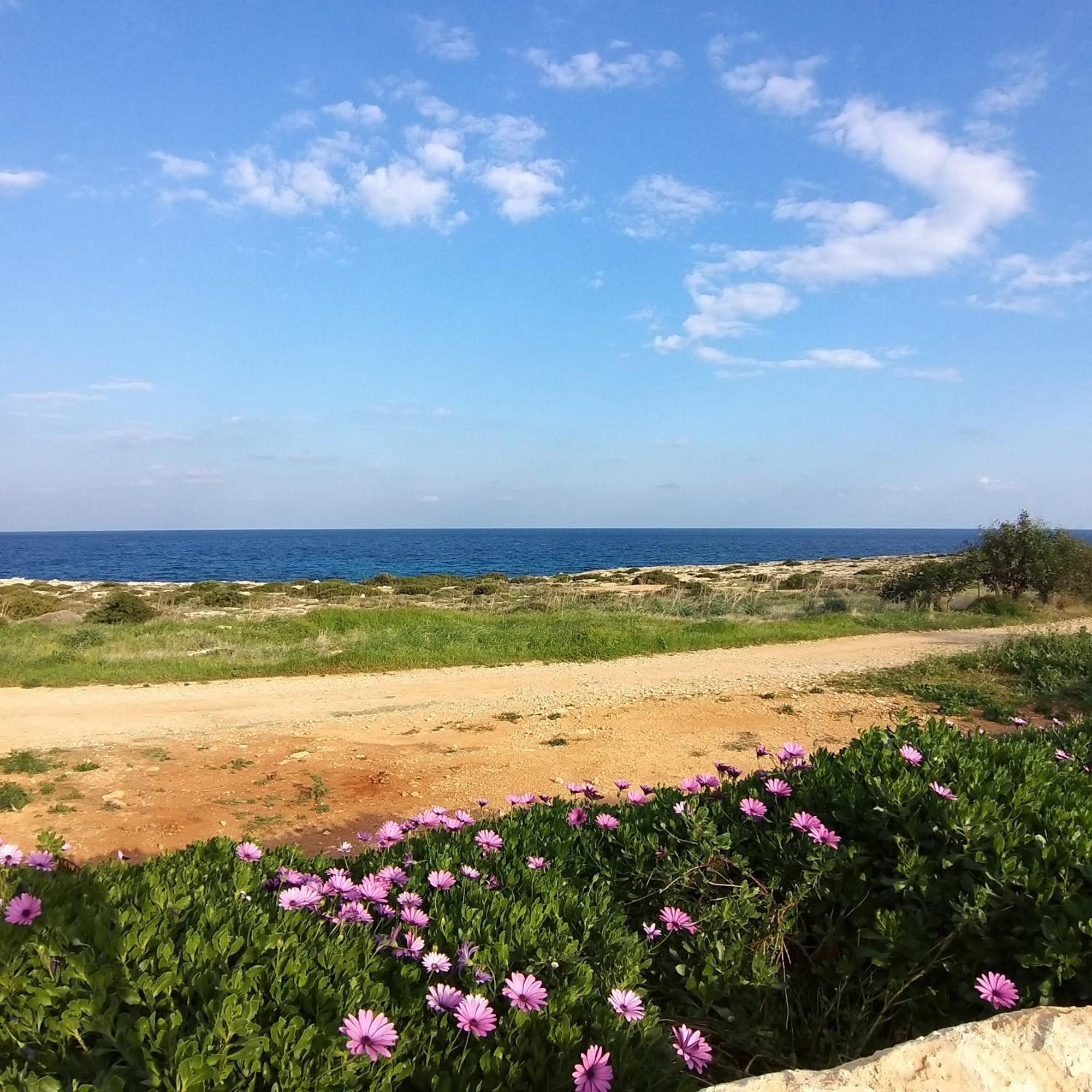Mosaic Villa By The Sea Protaras Bagian luar foto