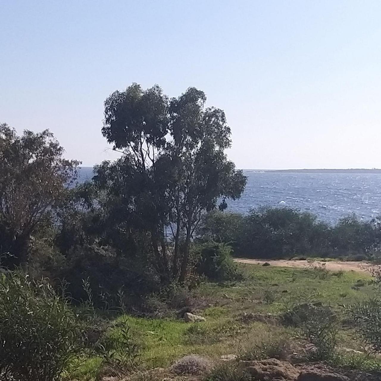 Mosaic Villa By The Sea Protaras Bagian luar foto